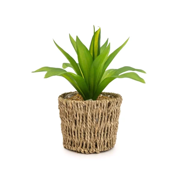 Artificial succulent plant with green and yellow variegated leaves, planted in a natural woven sea grass basket against a white background.