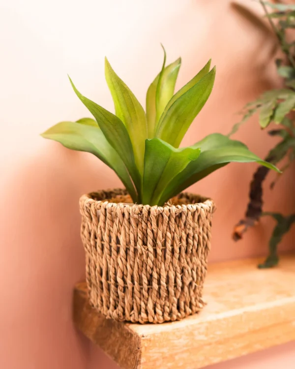Sea Grass Basket with artificial Agave Succulent - Image 2