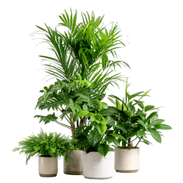 PlantStyleHome Cover