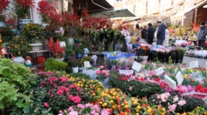 China Flower Direct and the Rise of Local Flower Delivery Networks in China