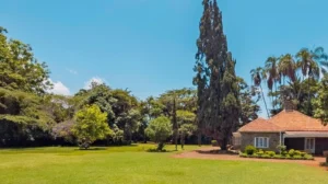 Choosing a House in Karen: Location, Layout and Due Diligence