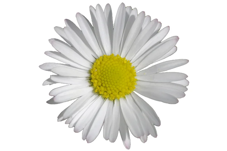 April