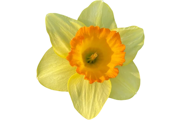 March