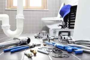 Common South Carolina Plumbing Problems and What to Do About Them