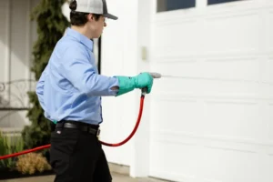 Diamond Pest Control: Professional Pest Solutions for Homes and Businesses