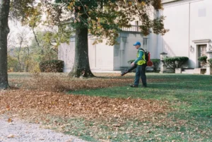 What Makes a Gas Powered Leaf Blower Useful for Large Outdoor Areas